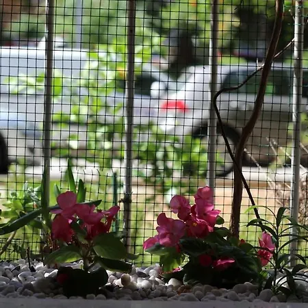 Cozy Mimi In The Center Of Διαμέρισμα